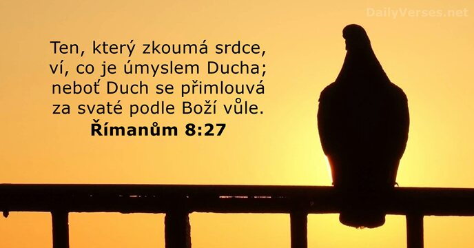 Římanům 8:27