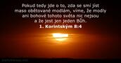 1. Korintským 8:4