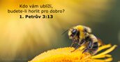 1. Petrův 3:13