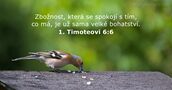 1. Timoteovi 6:6
