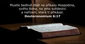 Deuteronomium 6:17