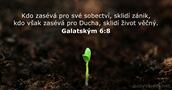 Galatským 6:8