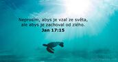 Jan 17:15