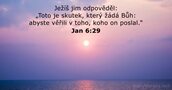 Jan 6:29