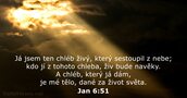 Jan 6:51