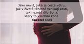 Kazatel 11:5