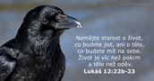Lukáš 12:22b-23
