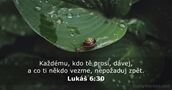 Lukáš 6:30