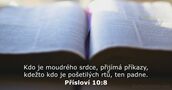 Přísloví 10:8