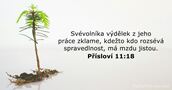 Přísloví 11:18