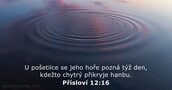 Přísloví 12:16