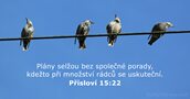 Přísloví 15:22
