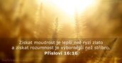 Přísloví 16:16