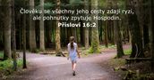 Přísloví 16:2
