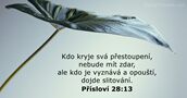 Přísloví 28:13