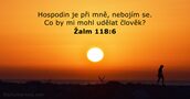Žalm 118:6