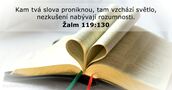 Žalm 119:130