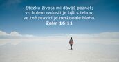 Žalm 16:11