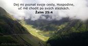 Žalm 25:4