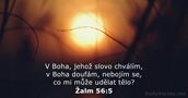 Žalm 56:5