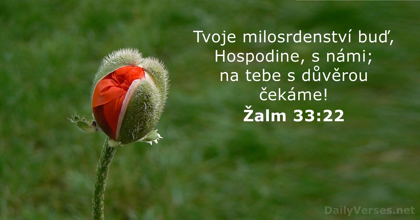 8 Dubna 2023 Biblick Ver Dne alm 33 22 DailyVerses