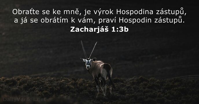 Obraťte se ke mně, je výrok Hospodina zástupů, a já se obrátím… Zacharjáš 1:3b