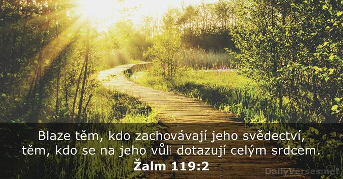 Žalm 119:2