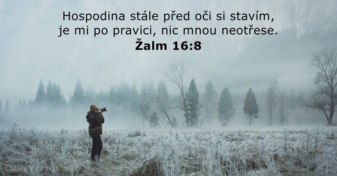 Žalm 16:8