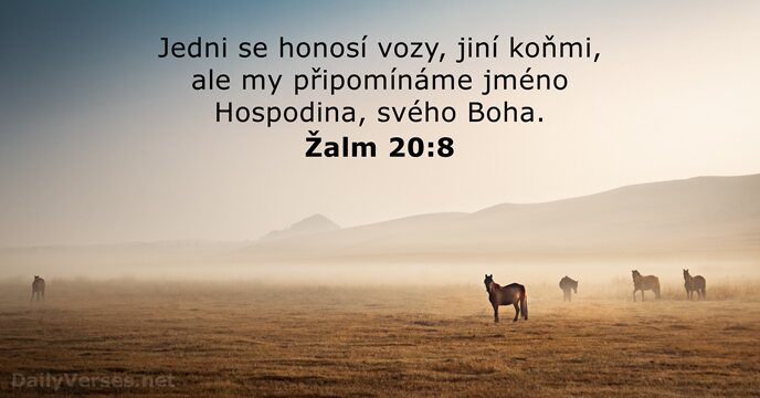 Žalm 20:8