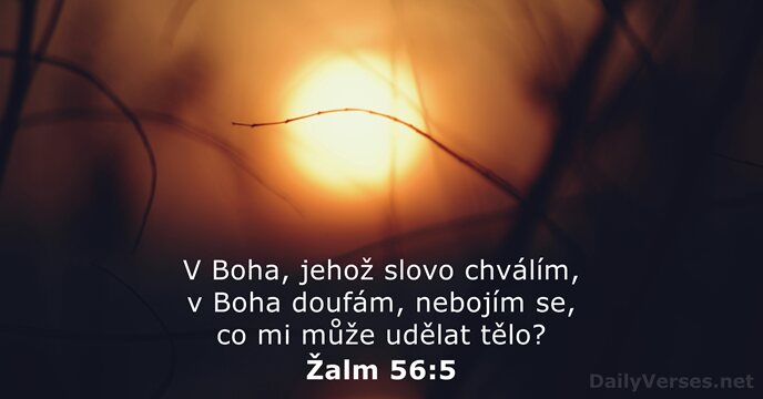 Žalm 56:5