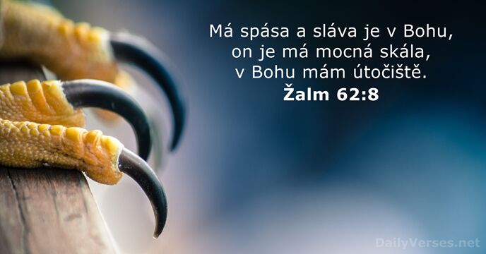 Žalm 62:8