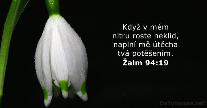 Žalm 94:19