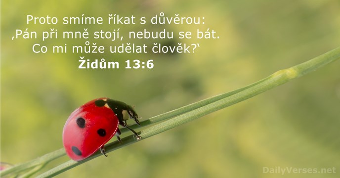 Židům 13:6