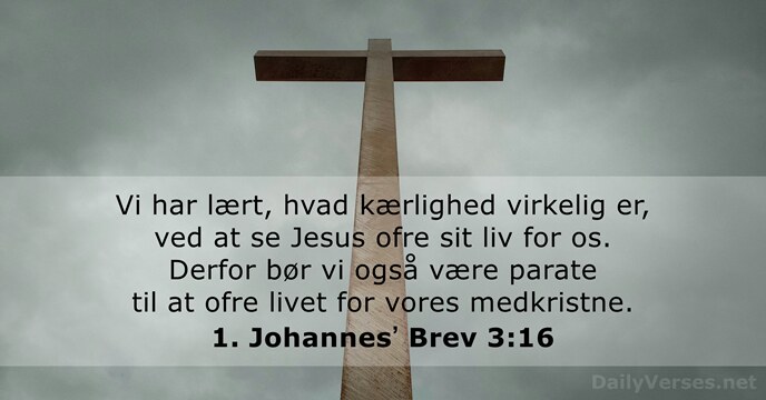 1. Johannesʼ Brev 3:16