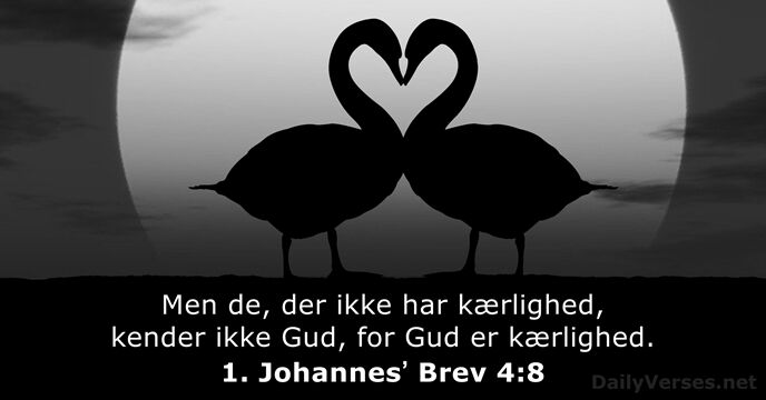 1. Johannesʼ Brev 4:8