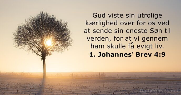 1. Johannesʼ Brev 4:9
