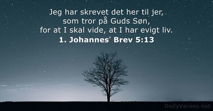 1. Johannesʼ Brev 5:13