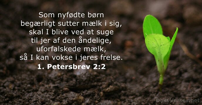 Som nyfødte børn begærligt sutter mælk i sig, skal I blive ved… 1. Petersbrev 2:2