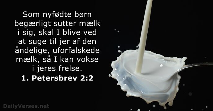 Som nyfødte børn begærligt sutter mælk i sig, skal I blive ved… 1. Petersbrev 2:2