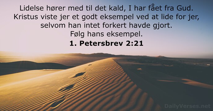 1. Petersbrev 2:21