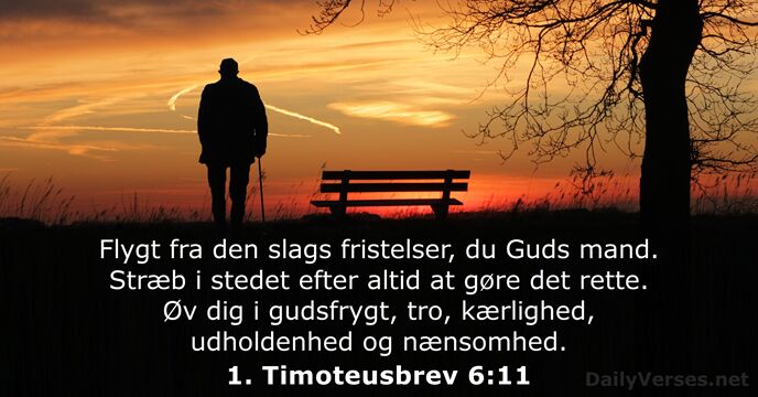 1. Timoteusbrev 6:11