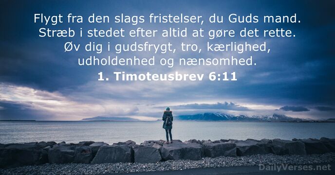 1. Timoteusbrev 6:11