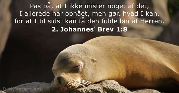 2. Johannesʼ Brev 1:8