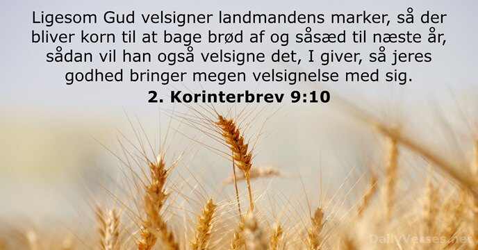 Ligesom Gud velsigner landmandens marker, så der bliver korn til at bage… 2. Korinterbrev 9:10