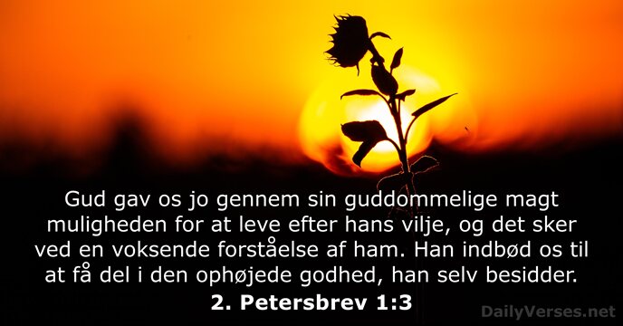 2. Petersbrev 1:3