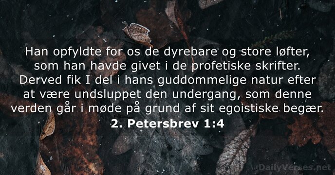 2. Petersbrev 1:4