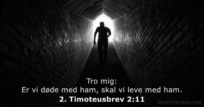 2. Timoteusbrev 2:11