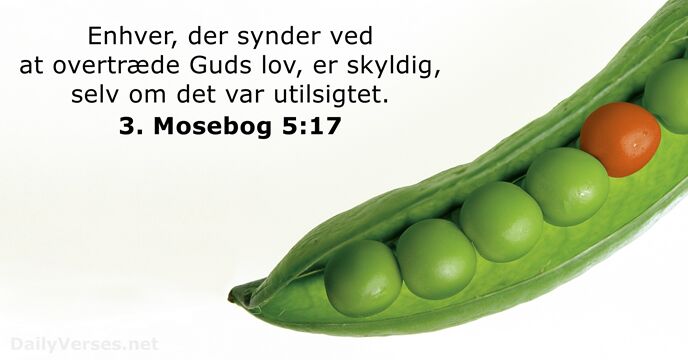 3. Mosebog 5:17