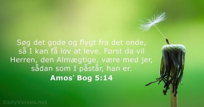 Amosʼ Bog 5:14