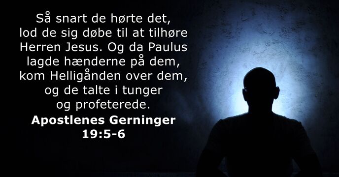 Apostlenes Gerninger 19:5-6
